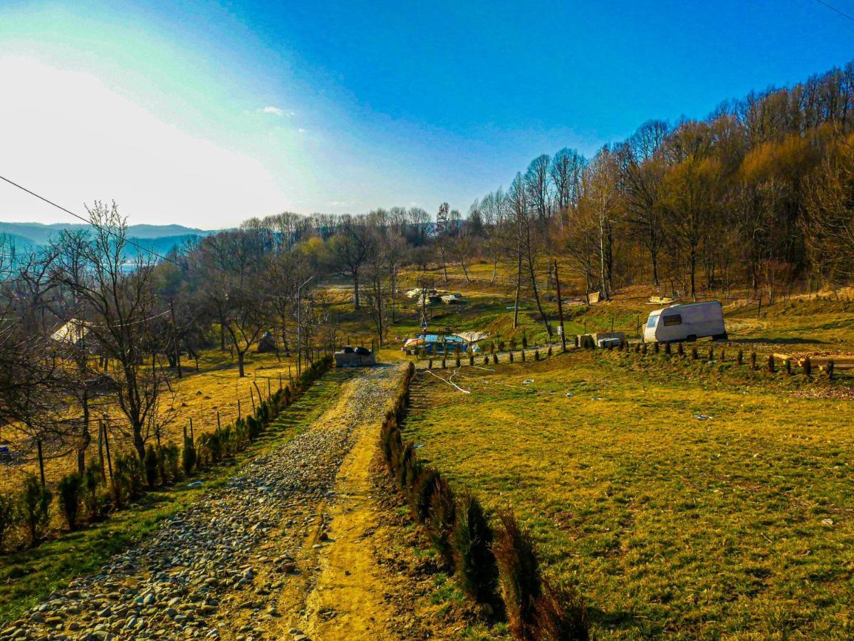 Pensiunea La Buruiana Куртя-де-Арджеш Экстерьер фото